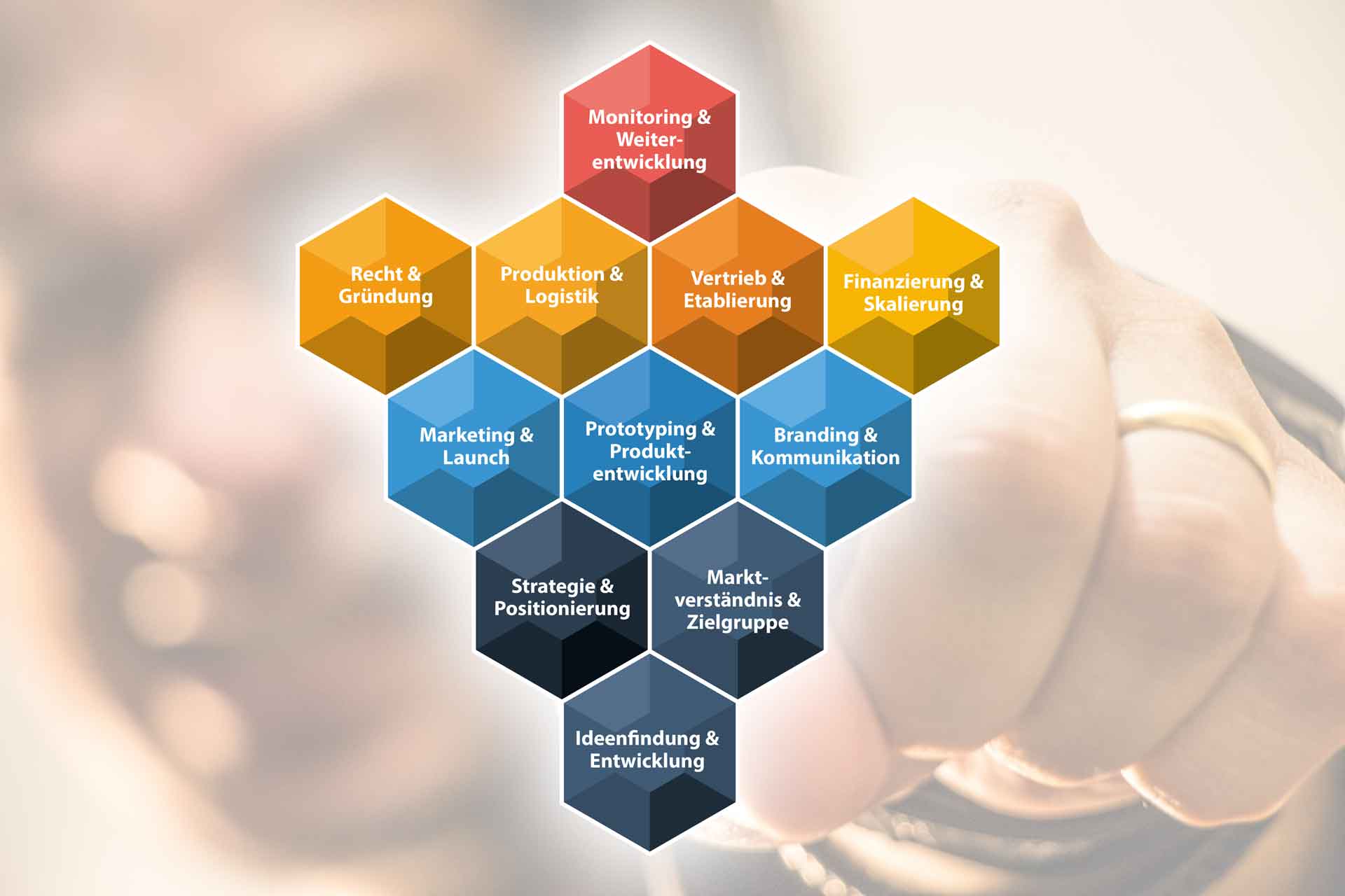Visualisierung des StartupModul-Systems mit 11 farblich differenzierten Modulen und 77 Bausteinen für erfolgreiche Gründung